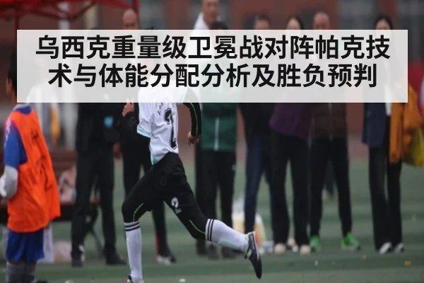 乌西克重量级卫冕战对阵帕克技术与体能分配分析及胜负预判